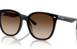 4423D - TRANSPARENT BROWN | GRADIENT BROWN | NON-POLARIZED