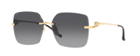 GOLD | GREY | NONE