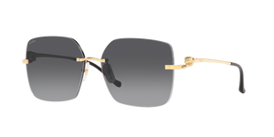 359S-001