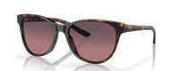 TORTOISE | GRADIENT ROSE GLASS | POLARIZED