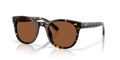 TORTOISE | COPPER | POLARIZED