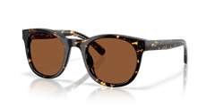 TORTOISE | COPPER | POLARIZED