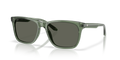 ALGAE GREEN | GRAY | POLARIZED