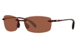 BALLAST - TORTOISE | COPPER - POLARIZED