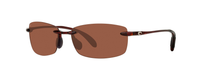 TORTOISE | COPPER - POLARIZED