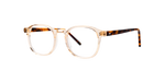 06_BLOOPIC1.png