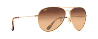 GOLD | HCL BRONZE - POLARIZED