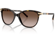 4216 - DARK HAVANA | GRADIENT BROWN | NON-POLARIZED