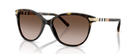 DARK HAVANA | GRADIENT BROWN | NON-POLARIZED