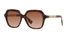DARK HAVANA | GRADIENT BROWN