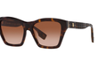 4391 - DARK HAVANA | GRADIENT BROWN