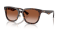 DARK HAVANA | BROWN GRADIENT | NON-POLARIZED