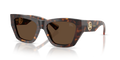 DARK HAVANA | DARK BROWN | NON-POLARIZED