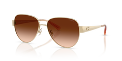 SHINY LIGHT GOLD | BROWN GRADIENT | NON-POLARIZED