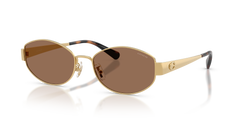 SHINY  GOLD | DARK BROWN | NON-POLARIZED