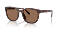 MATTE DARK TORTOISE | BROWN | NON-POLARIZED