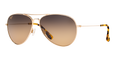 GOLD | HCL BRONZE | POLARIZED