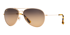 GOLD | HCL BRONZE | POLARIZED