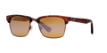 TORTOISE | ANTIQUE GOLD | HCL BRONZE | POLARIZED