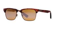 TORTOISE | ANTIQUE GOLD | HCL BRONZE | POLARIZED
