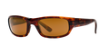 TORTOISE | HCL BRONZE | POLARIZED