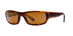TORTOISE | HCL BRONZE | POLARIZED