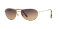 GOLD | HCL BRONZE | POLARIZED