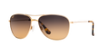 GOLD | HCL BRONZE | POLARIZED