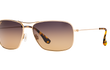 WIKI WIKI - GOLD | HCL BRONZE | POLARIZED