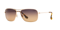 GOLD | HCL BRONZE | POLARIZED