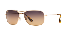 GOLD | HCL BRONZE | POLARIZED
