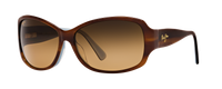 TORTOISE W/ WHITE & BLUE | HCL BRONZE | POLARIZED