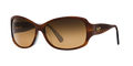 TORTOISE W/ WHITE & BLUE | HCL BRONZE | POLARIZED