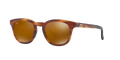 MATTE TORTOISE | HCL BRONZE | POLARIZED