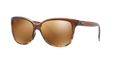 TRANSLUCENT CHOCOLATE | TORTOISE | HCL BRONZE | POLARIZED