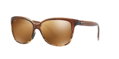 TRANSLUCENT CHOCOLATE | TORTOISE | HCL BRONZE | POLARIZED