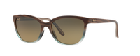 SANDSTONE | BLUE | HCL BRONZE | POLARIZED