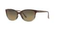 SANDSTONE | BLUE | HCL BRONZE | POLARIZED