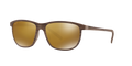 BROWN STRIPE | HCL BRONZE | POLARIZED