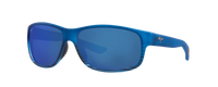 BLUE BLACK STRIPE | BLUE HAWAII | POLARIZED