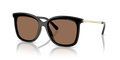 SHINY BLACK | GOLD | BROWN | NON-POLARIZED