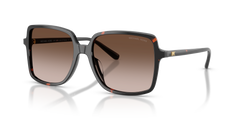 DARK IRIS | GRADIENT SMOKE | NON-POLARIZED