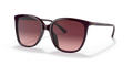 CORDOVAN | GRADIENT CORDOVAN | NON-POLARIZED