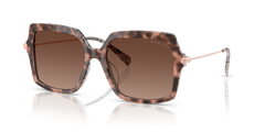 QUOGUE | 4017T5 | POLARIZED