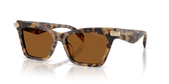 VINTAGE TORTOISE | AMBER | NON-POLARIZED