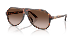 DARK TORTOISE | SMOKE GRADIENT | NON-POLARIZED