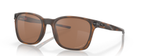 MATTE TORTOISE | PRIZM TUNGSTEN | POLARIZED