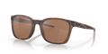 MATTE TORTOISE | PRIZM TUNGSTEN | POLARIZED