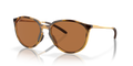 POLISHED BROWN TORTOISE | PRIZM BRONZE | POLARIZED