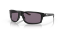 POLISHED BLACK | PRIZM GREY | NON-POLARIZED